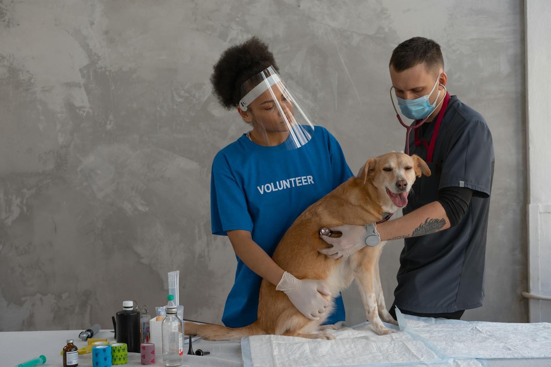 Modern veterinary clinic examination room with medical equipment and examination table