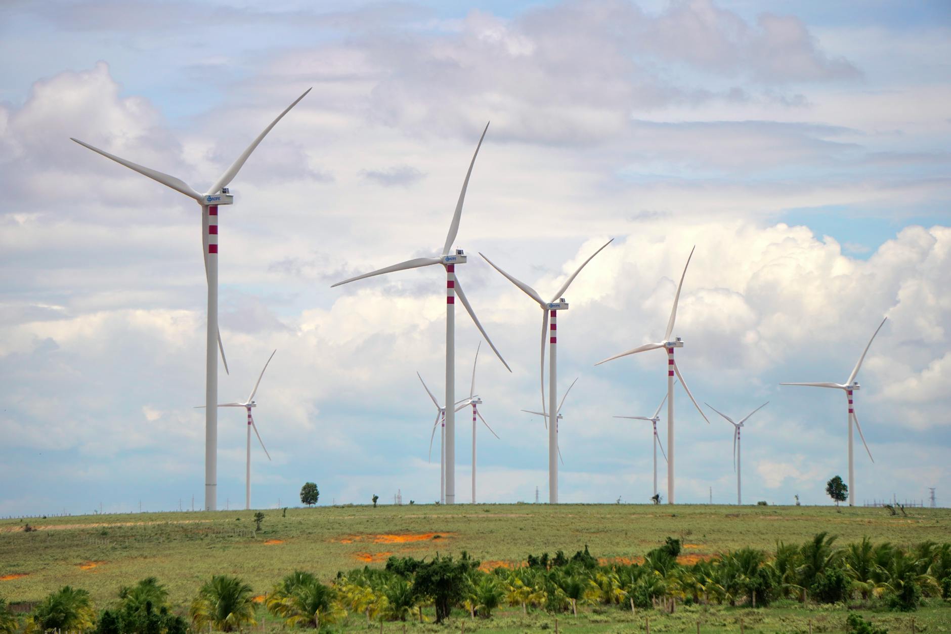 Wind turbines generating renewable energy in rural landscape