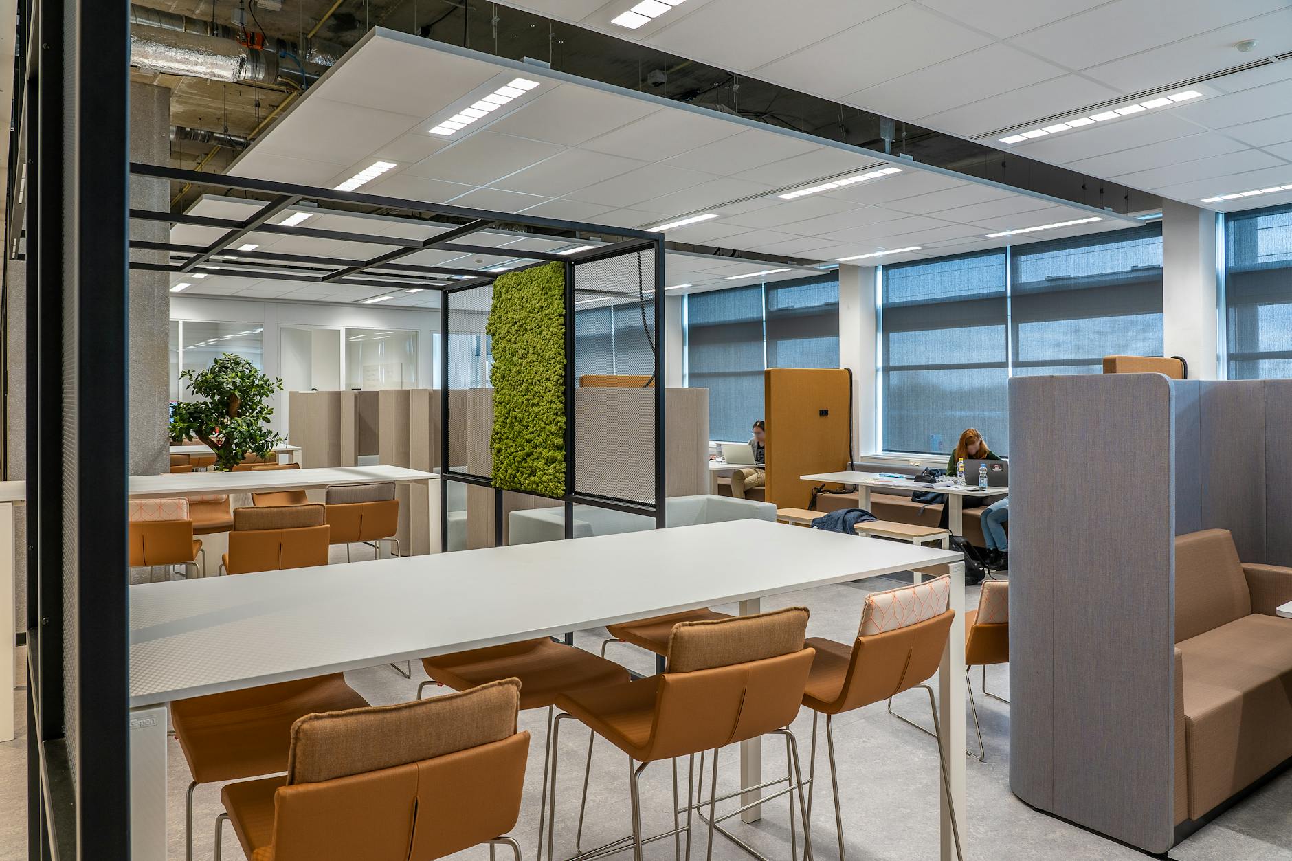 Modern coworking space with people working at computers and meeting areas