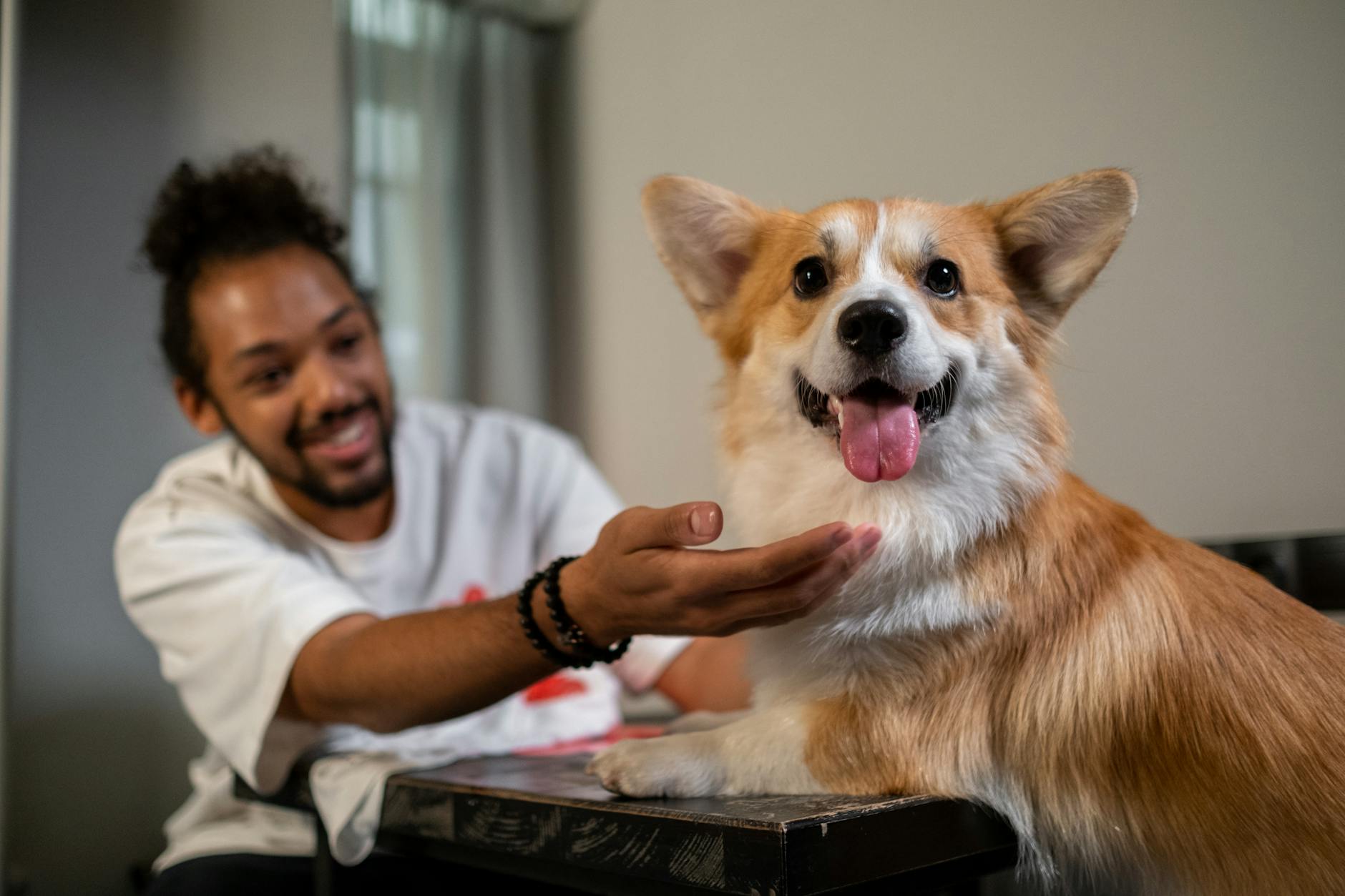Veterinarian consulting with pet owner holding small dog in clinic setting