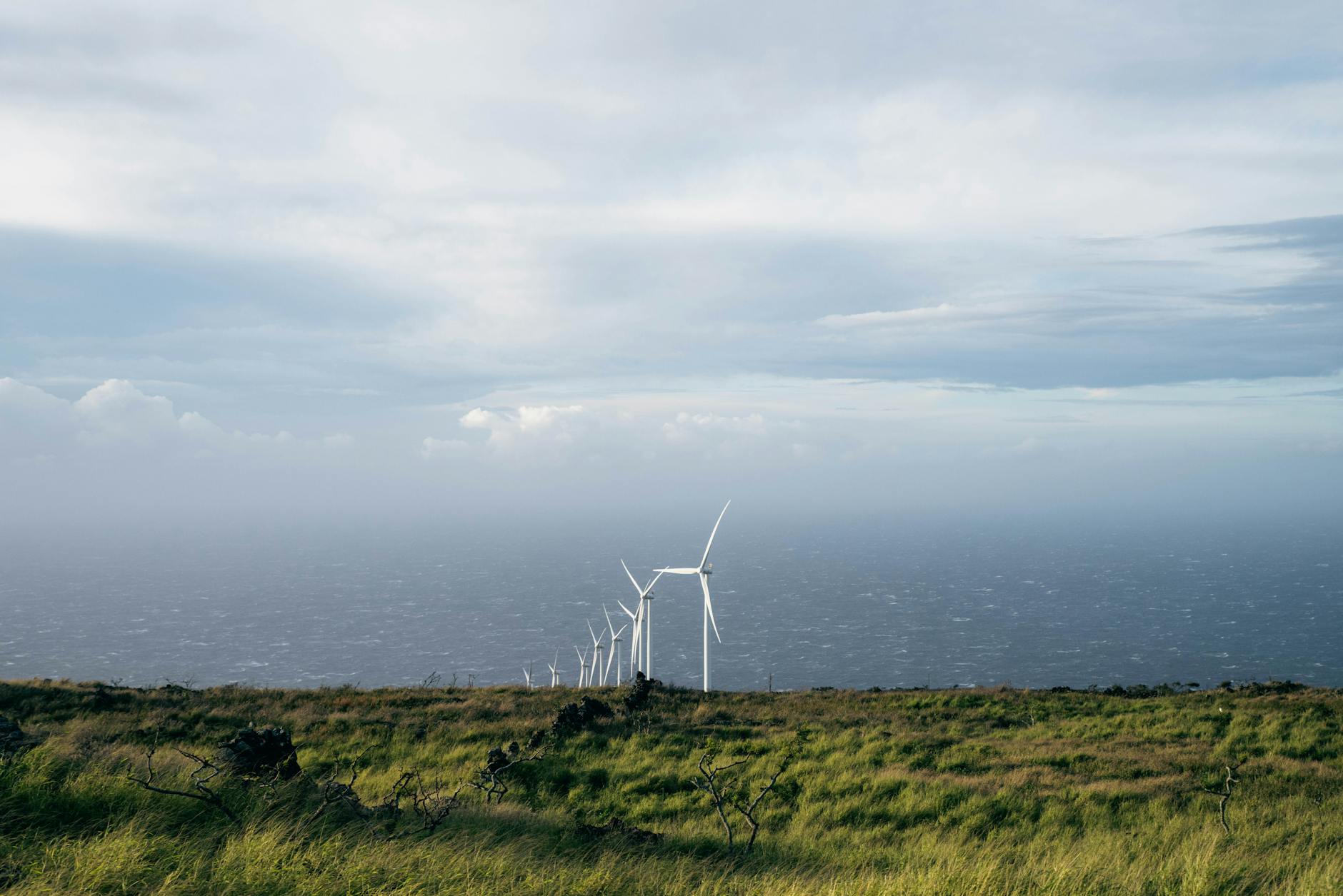 Wind turbines against sky representing clean energy infrastructure reshaping energy markets