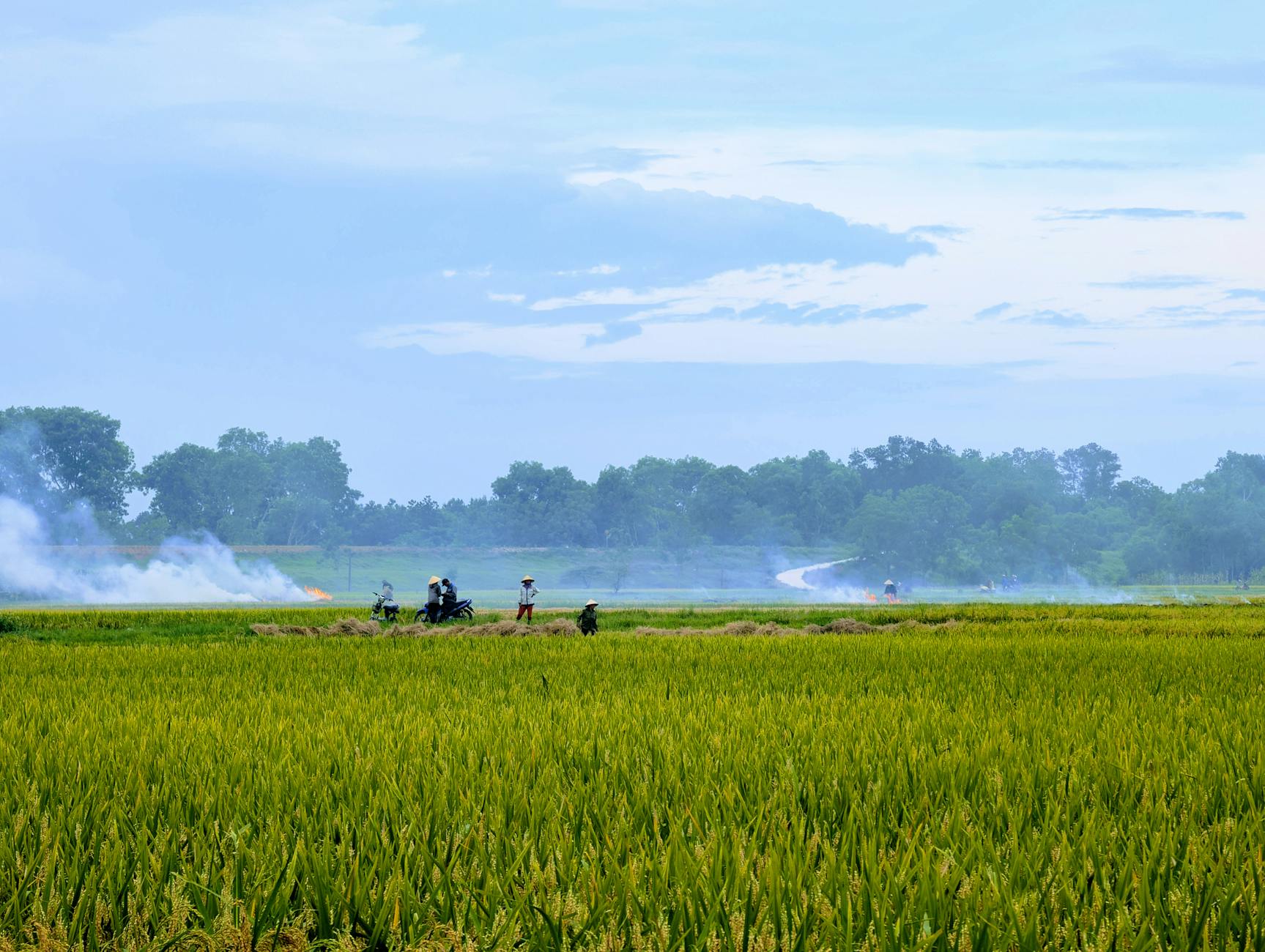 Farmer working in an open agricultural field