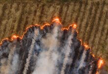 Wildfire smoke rising over a residential neighborhood in a drought-stricken region