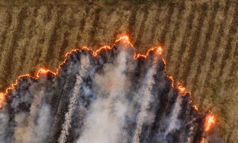 Wildfire smoke rising over a residential neighborhood in a drought-stricken region