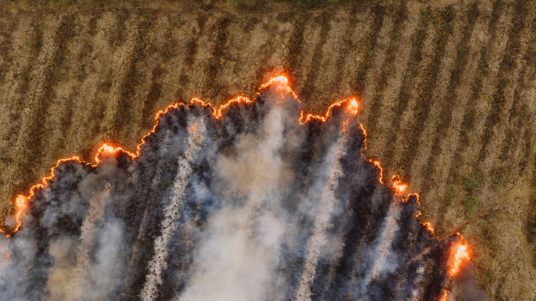 Wildfire smoke rising over a residential neighborhood in a drought-stricken region