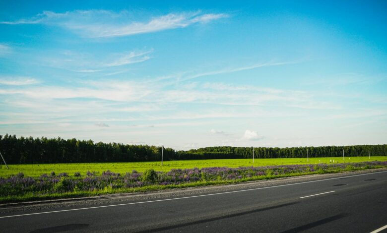 Empty rural road stretching through a sparsely populated landscape, representing distance from healthcare facilities