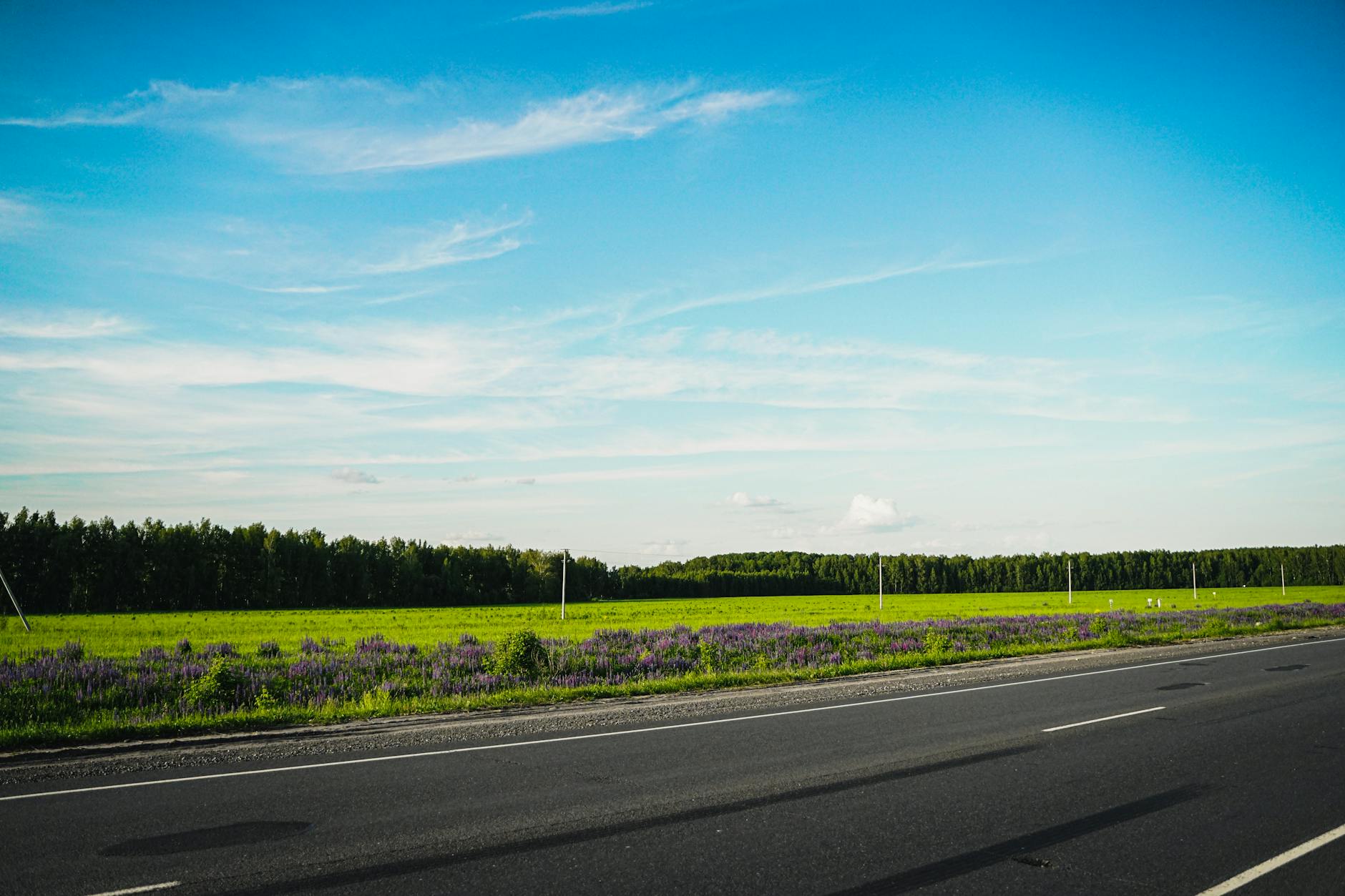 Empty rural road stretching through a sparsely populated landscape, representing distance from healthcare facilities