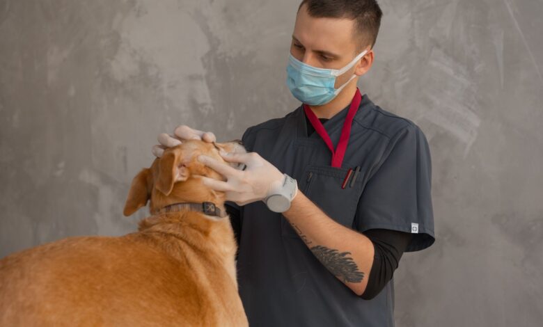 Interior of a small veterinary clinic with an examination table and medical equipment