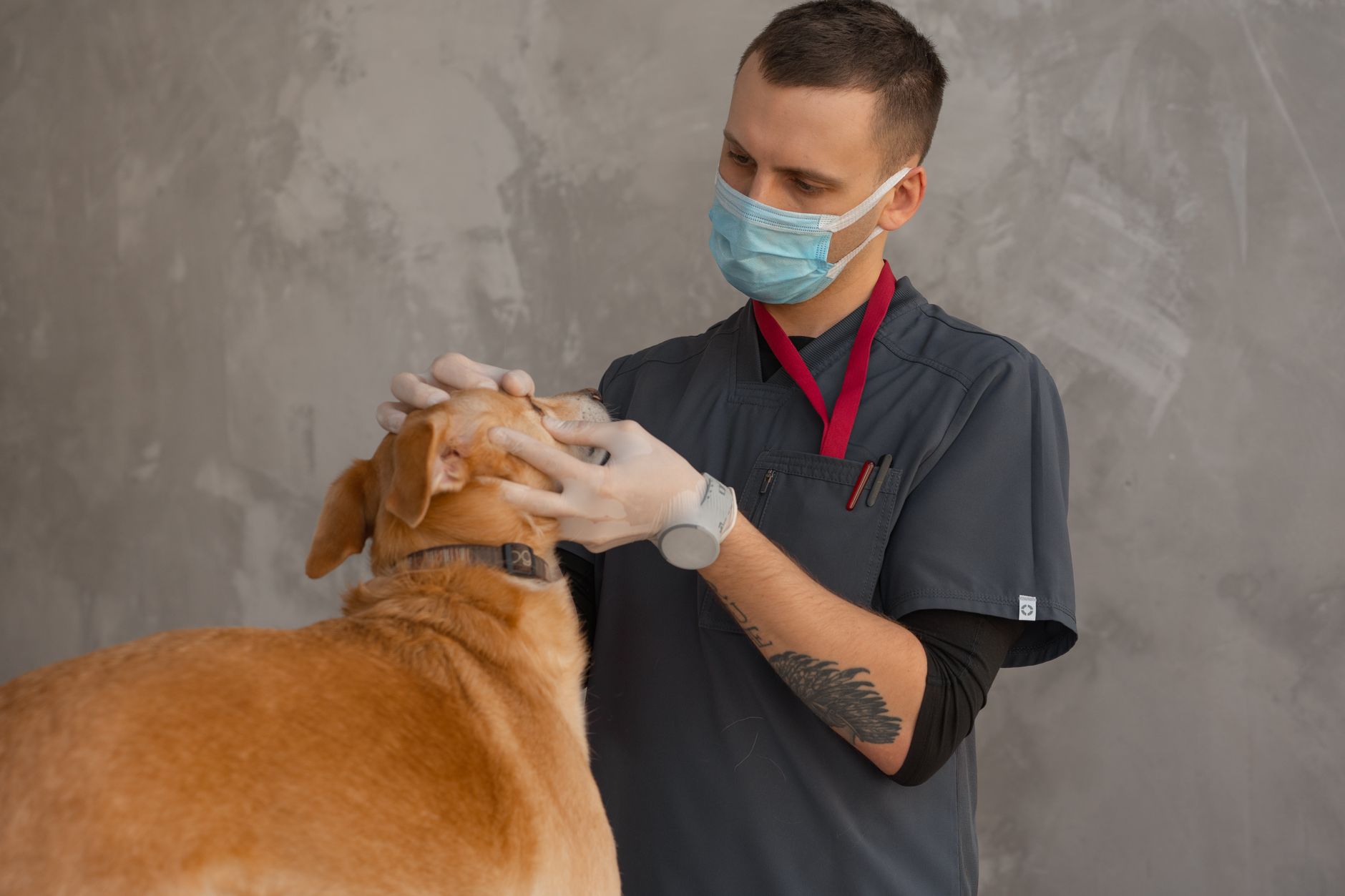 Interior of a small veterinary clinic with an examination table and medical equipment