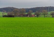 Wide view of agricultural farmland with open fields and a clear sky