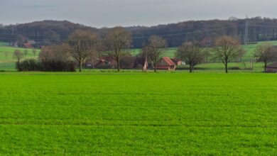 Wide view of agricultural farmland with open fields and a clear sky