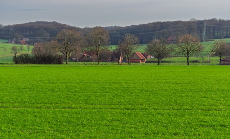 Wide view of agricultural farmland with open fields and a clear sky