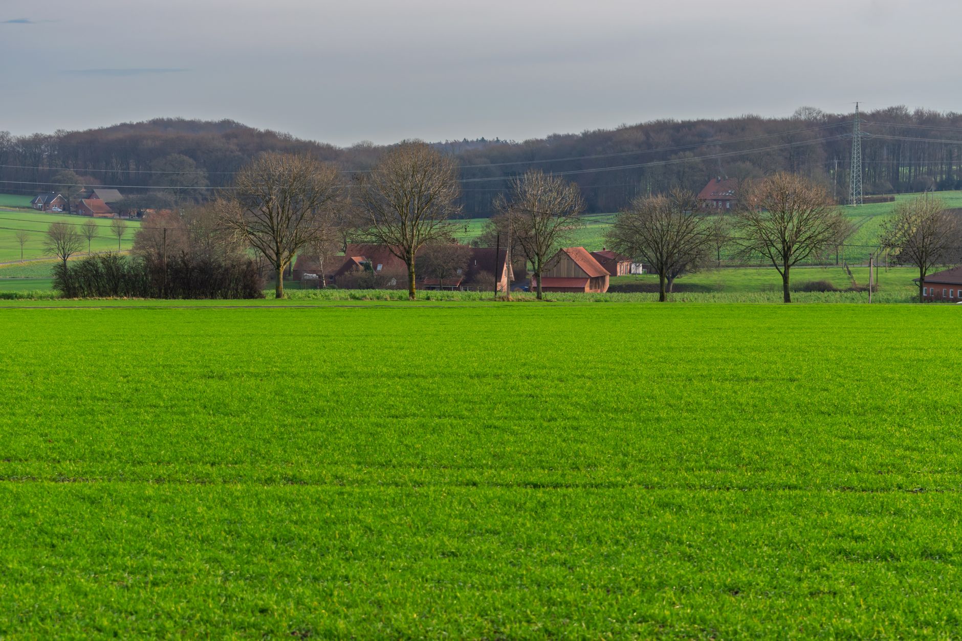 Wide view of agricultural farmland with open fields and a clear sky