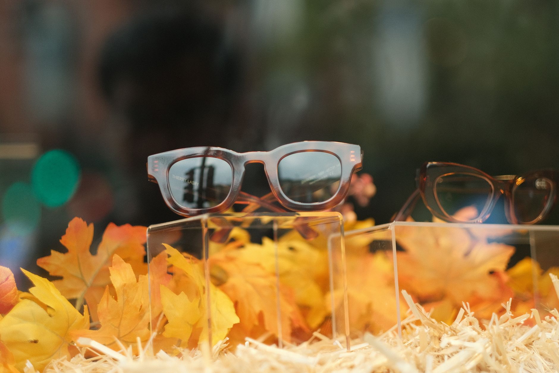 Rows of eyeglass frames displayed on retail shelving in an optical store