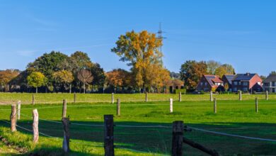 A wide rural farmland property with open fields and a distant treeline