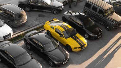 Rows of vehicles lined up at an outdoor auto auction lot