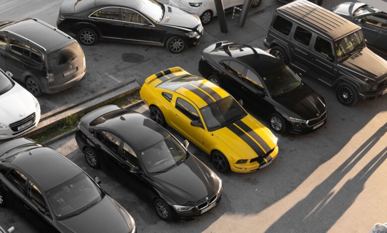 Rows of vehicles lined up at an outdoor auto auction lot