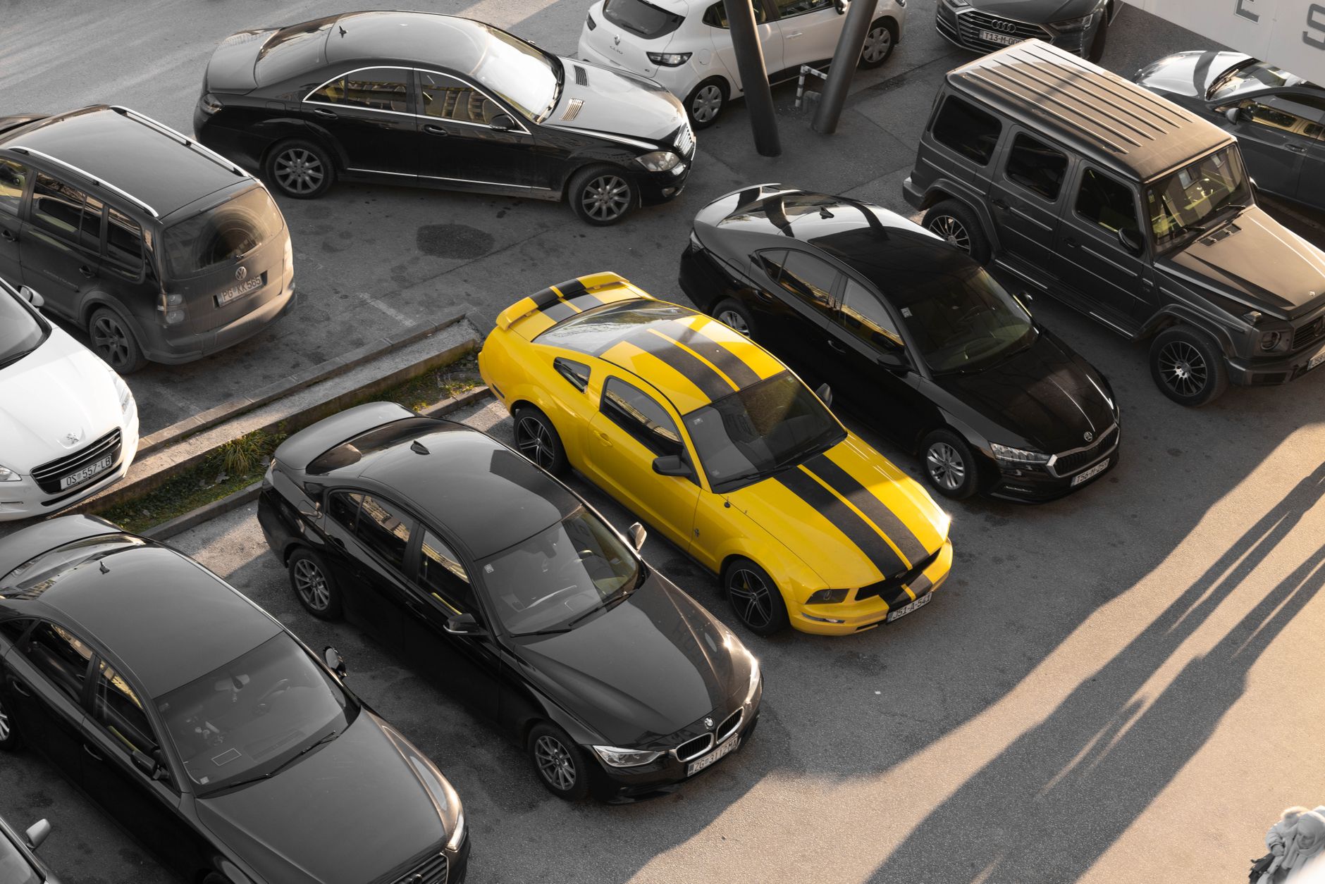 Rows of vehicles lined up at an outdoor auto auction lot