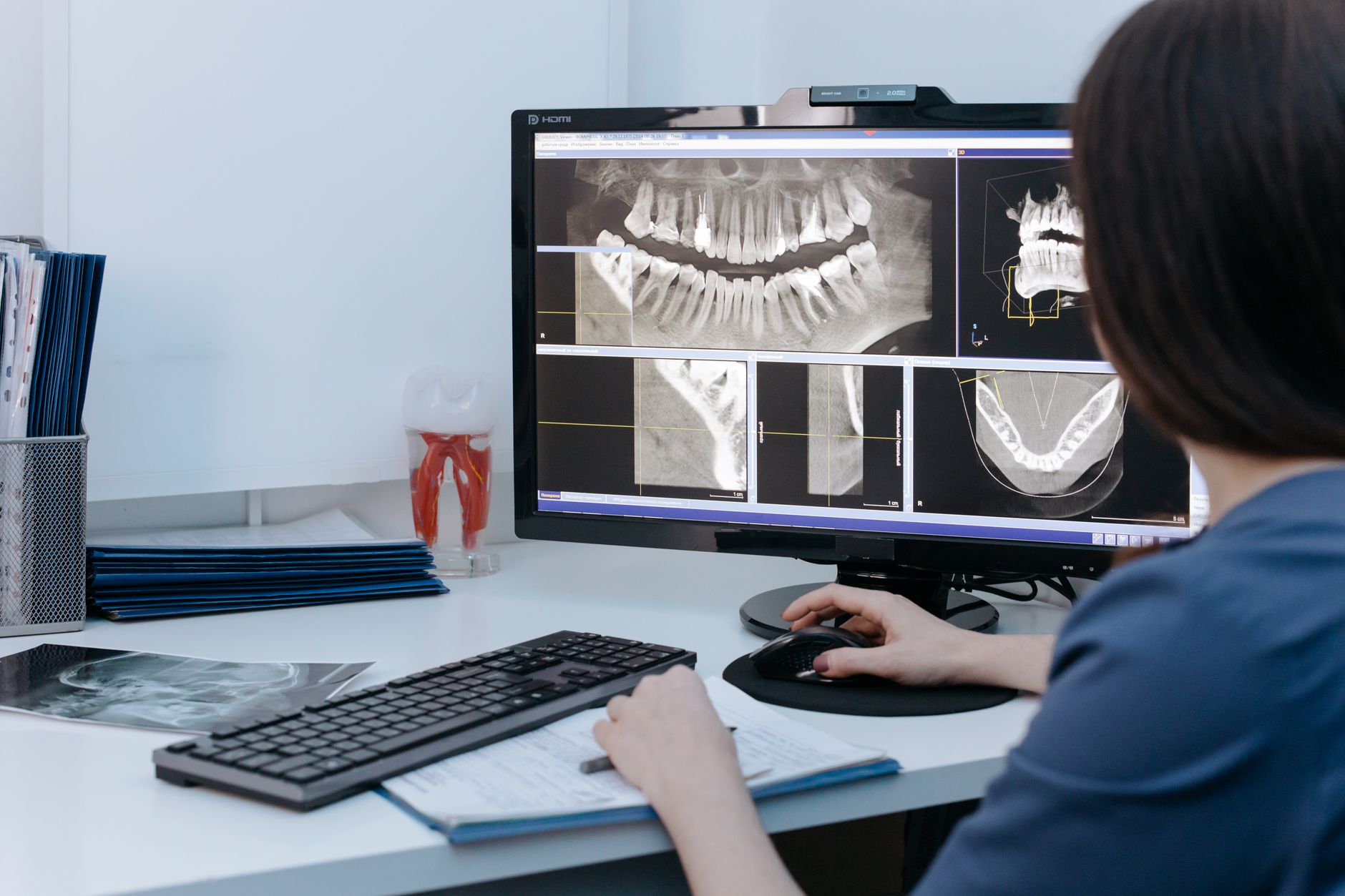 A radiologist reviewing diagnostic scans on a computer monitor