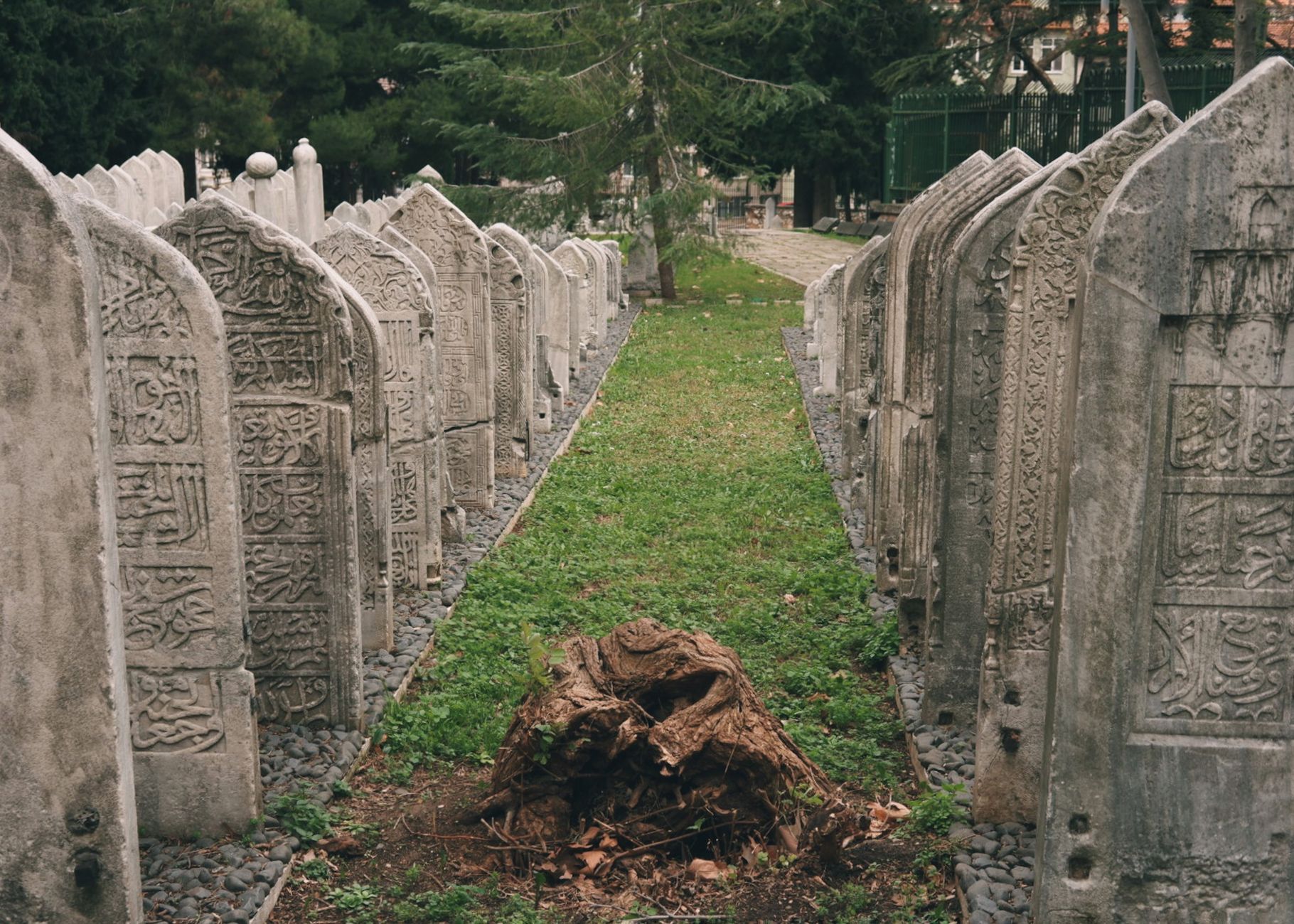 Peaceful cemetery grounds with rows of headstones under a grey sky