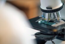 Technician working at an optical lens processing lab