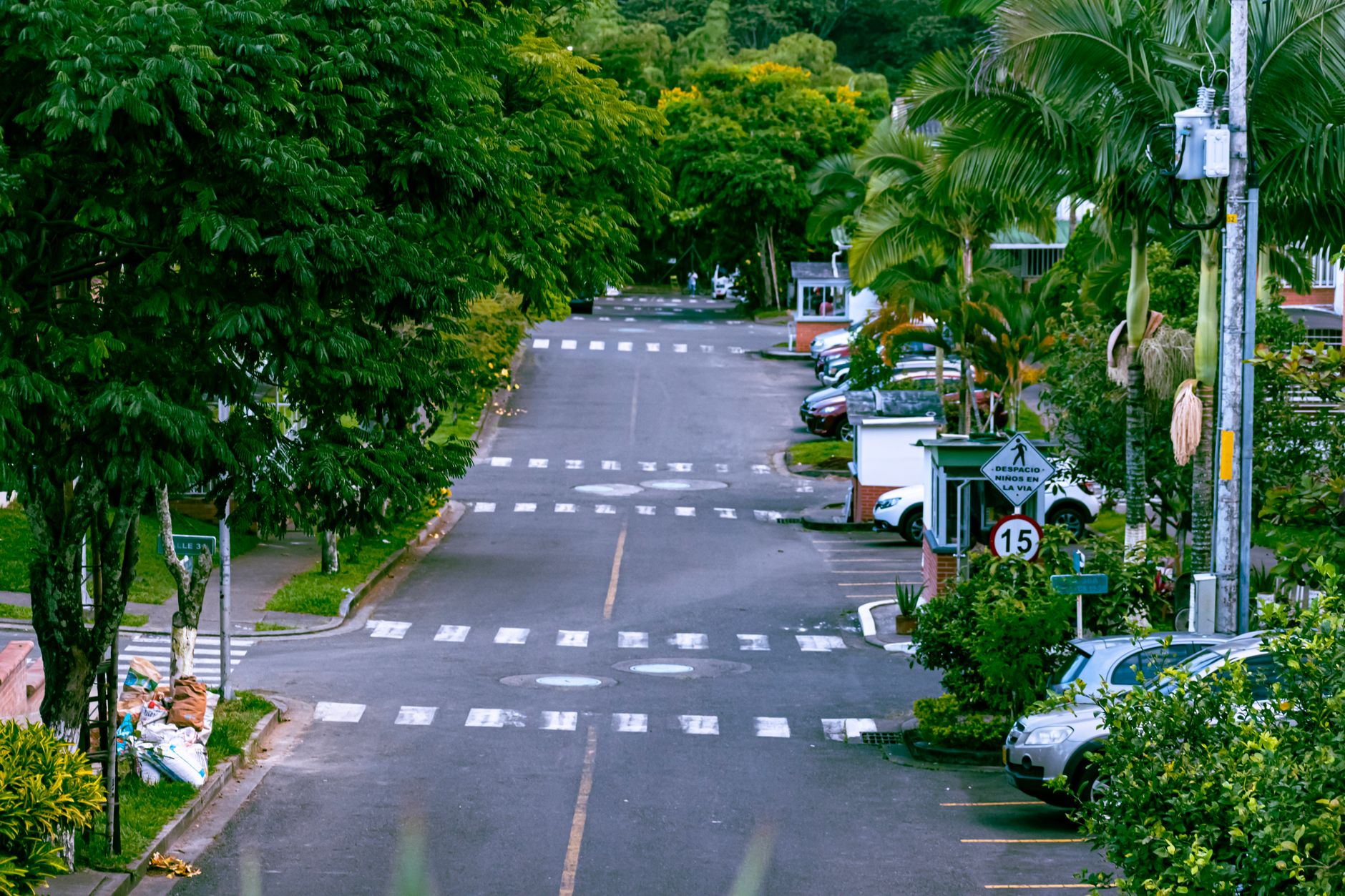 A quiet suburban residential street lined with single-family homes